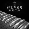 Silver Keys - 20 Melodic Loops