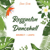 Reggaeton & Dancehall (Drumkit + Loops)