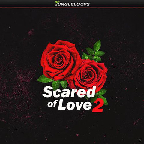 Scared Of Love 2 - Modern Hip Hop Sounds