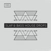 Slap & Bass House Drops