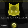 Sounds Of Cashmere (Loops For Producers)