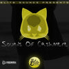 Sounds Of Cashmere