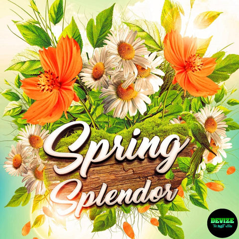 Spring Splendor Drum Kit - 100 Drum Sounds