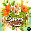 Spring Splendor Drum Kit - 100 Drum Sounds