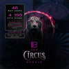 The Circus Bundle (200+ Loops)