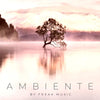 Ambiente - MIDI Kits, WAV Loops & Spire Presets