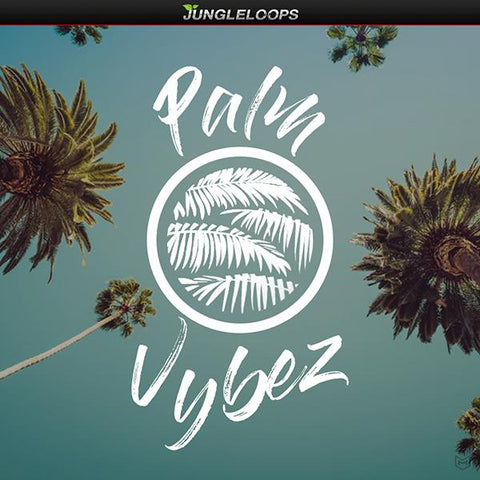 Palm Vybez - Drake & Murda Beatz Type Beats