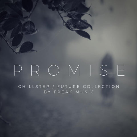 Promise - All-In-One Future Bass & EDM Collection