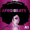 Afro Beats - Construction Kits