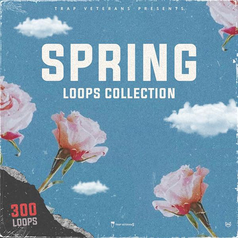 Spring Loops Bundle - 300 Loops Collection